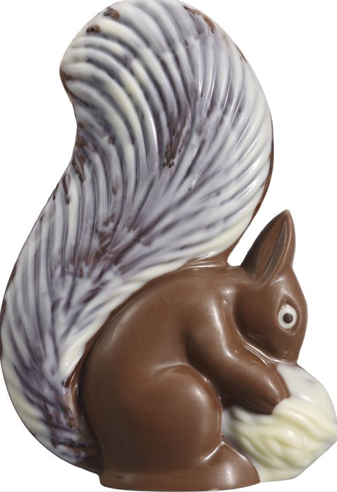 [240221_7147] Moulage écureuil De Marlieu