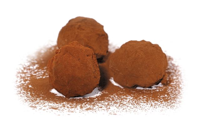 Stars de Noël - VOISIN